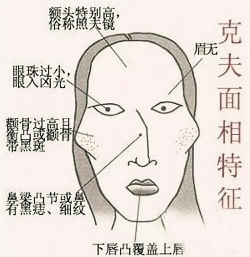 什么样的脸型有福气
