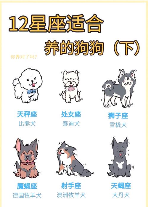 天秤座适合养什么狗