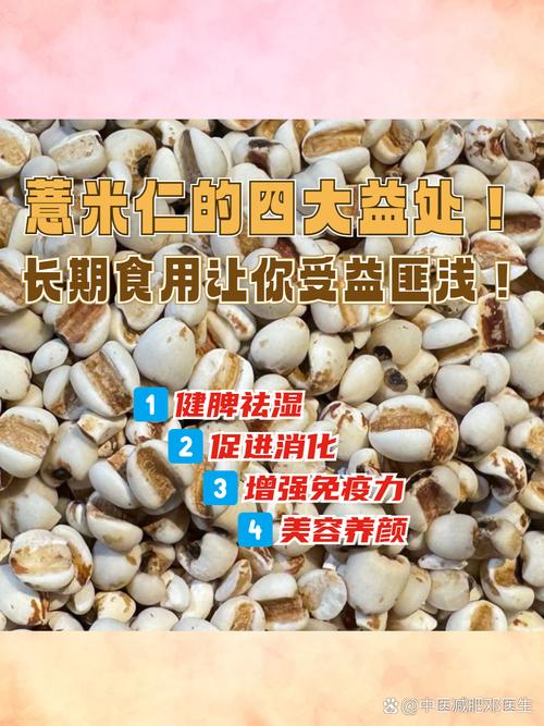 薏仁和什么可以减肥