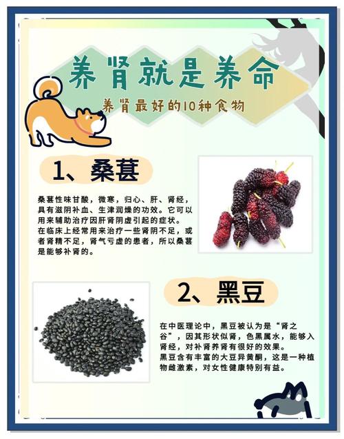 什么东西可以养肾