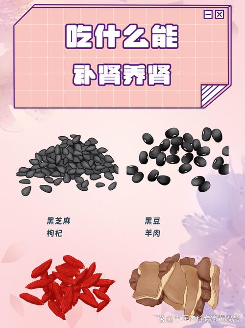 什么东西可以养肾