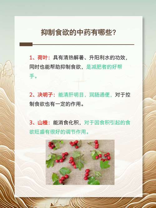 什么中药除湿减肥