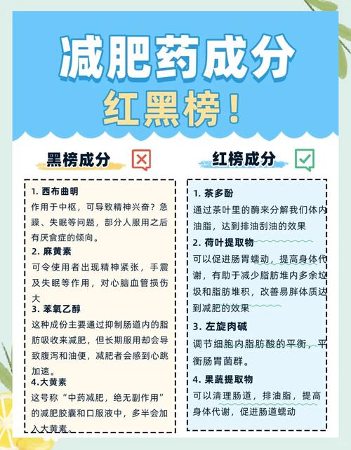 什么药能减肥最快