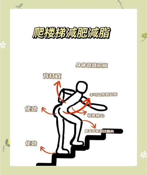 什么时候趴楼梯减肥