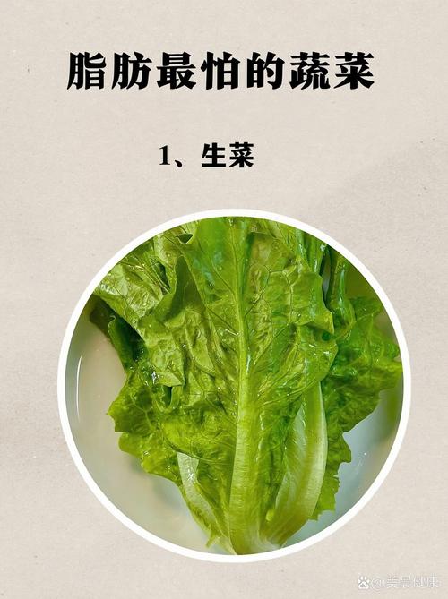 什么菜适合减肥有营养