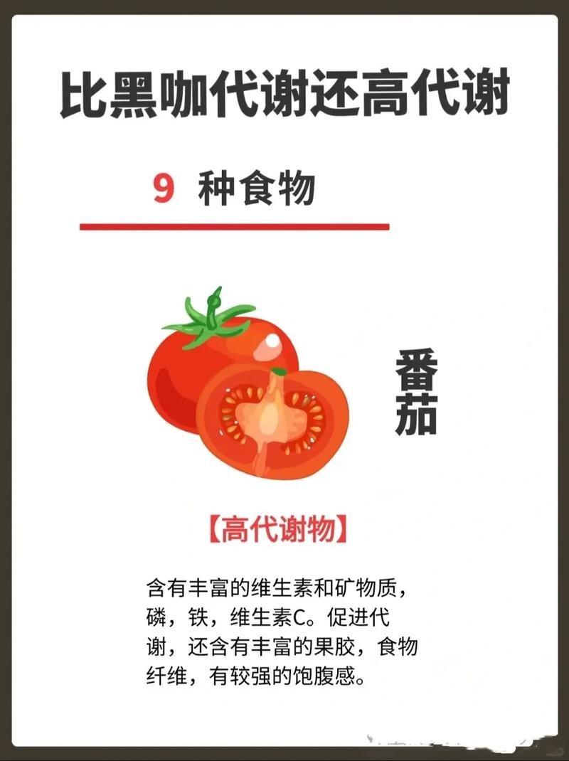 提高身体代谢吃什么