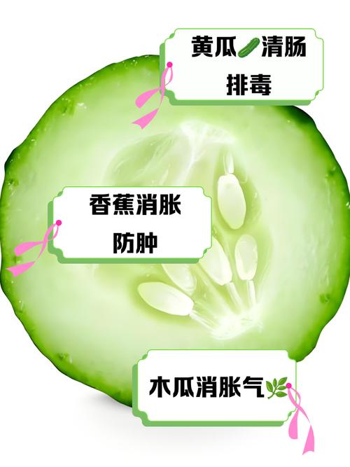 吃什么食物能排气