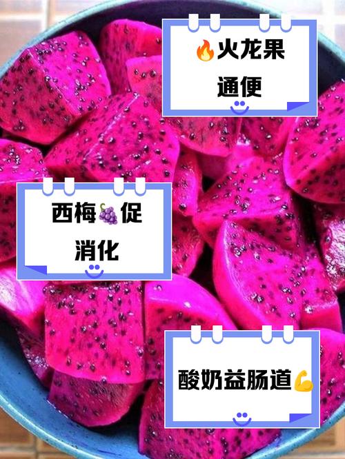 吃什么食物能排气