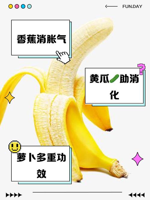 吃什么食物能排气