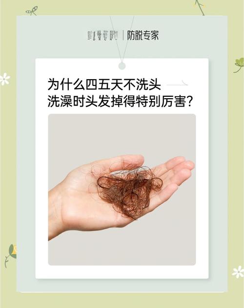 为什么不能天天洗头