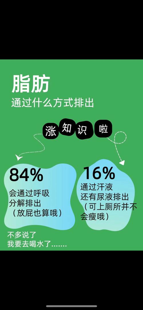 减肥为什么体重不减