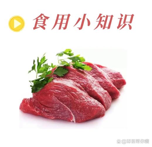 减肥什么肉不能吃