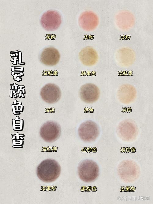 乳晕代表什么