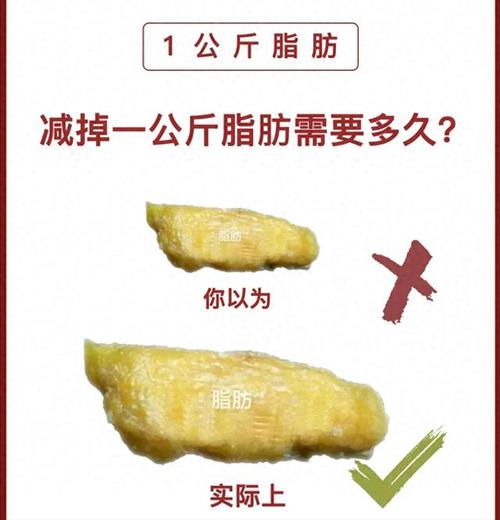 减肥减的是什么脂肪