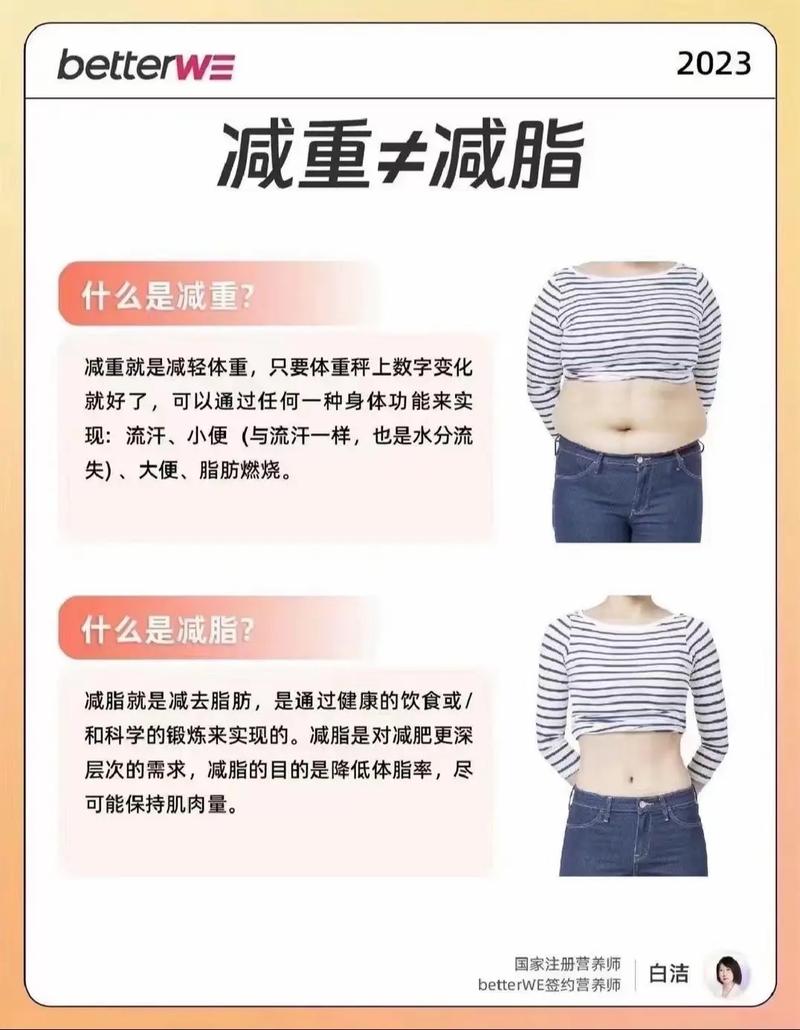 减肥减的是什么脂肪