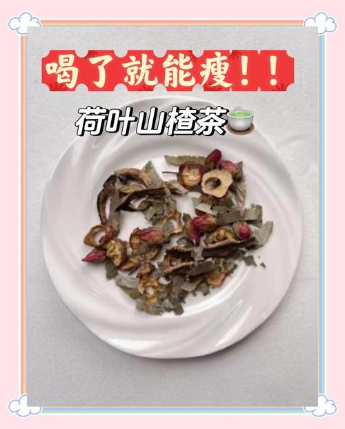荷叶山楂加什么能减肥