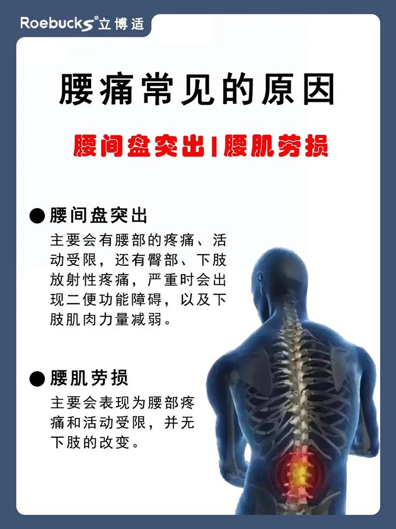 又后腰疼是什么原因