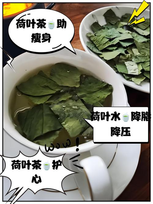 荷叶和什么泡水能减肥效果好