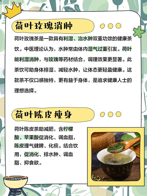 荷叶和什么喝可以减肥效果最好