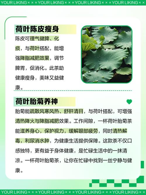 荷叶和什么喝可以减肥吗