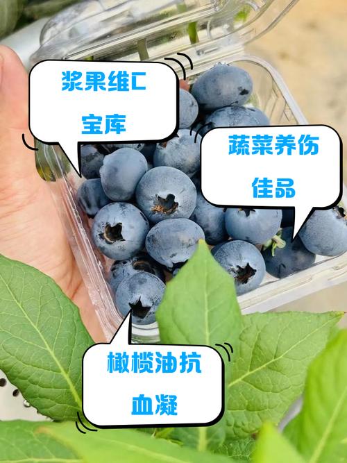 伤口愈合吃什么水果
