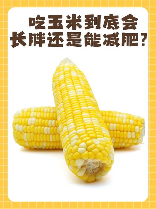 玉米和什么一起吃减肥吗