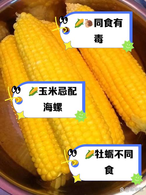 玉米和什么一起吃减肥吗