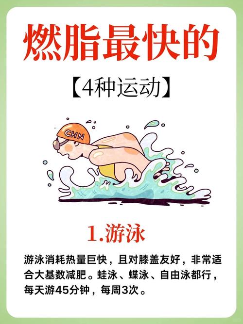 游泳完吃什么减肥