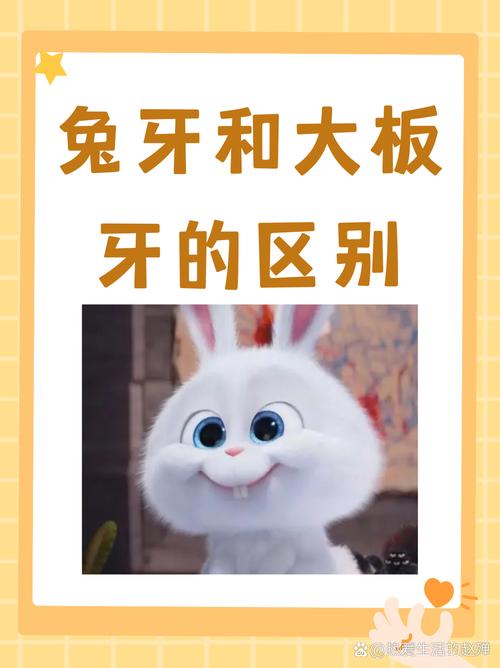 兔子的牙齿像什么