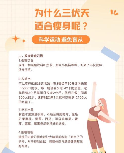 为什么夏天适合减肥