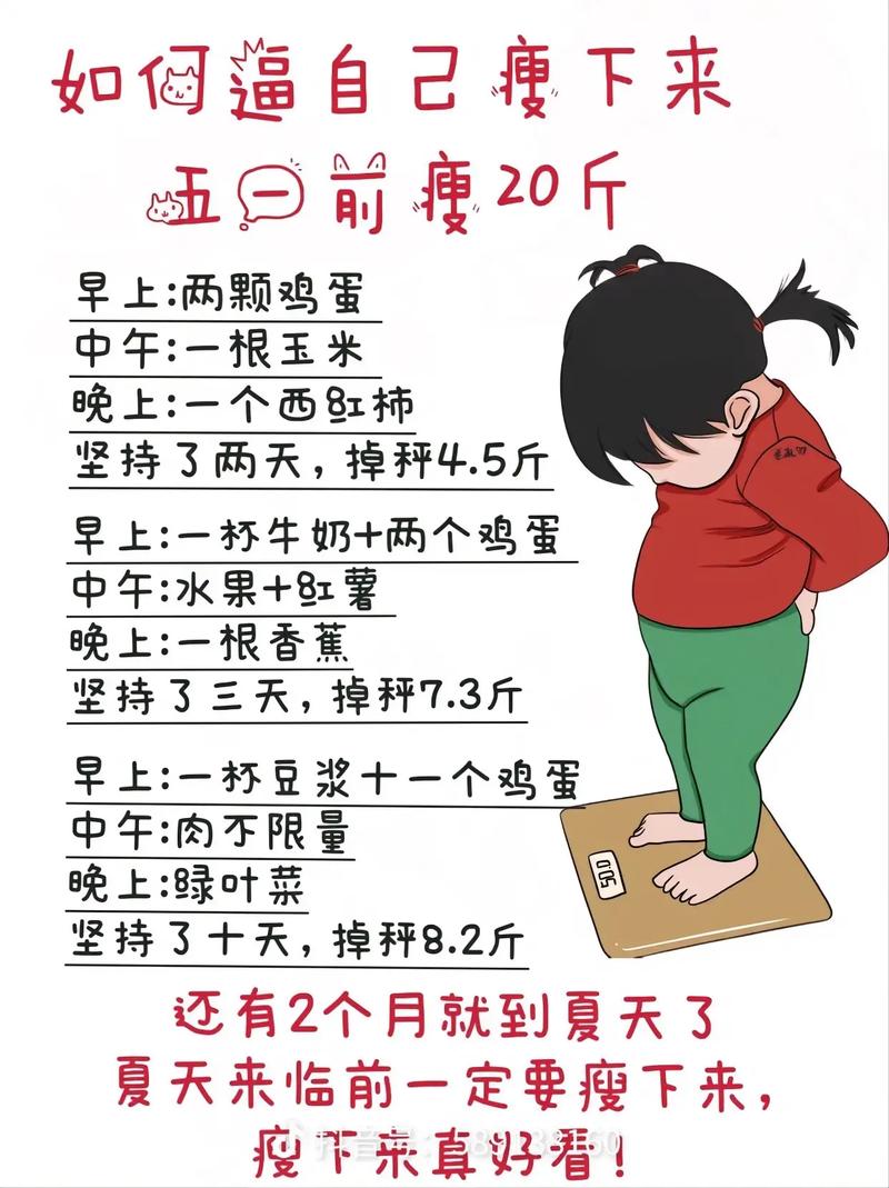 为什么夏天减肥慢