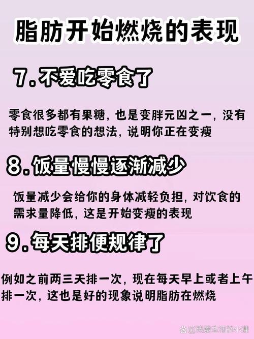 为什么我减肥慢怎么办