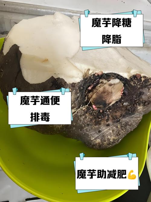 为什么魔芋可以减肥吗