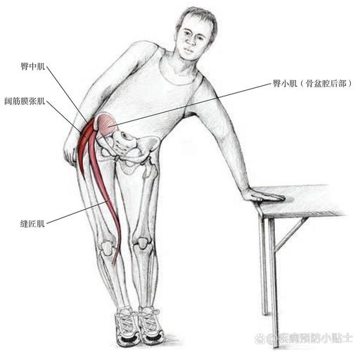 大腿外侧是什么肌肉