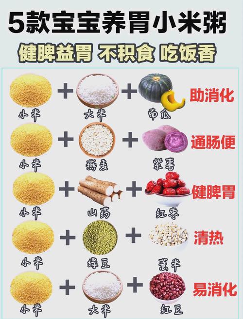 天天喝什么粥能减肥吗