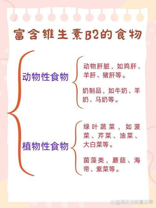 什么食物中含有维生素b