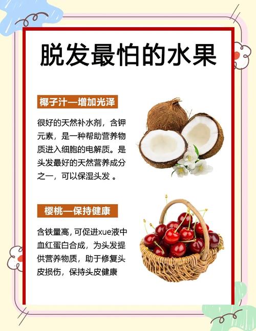 掉头发吃什么水果好