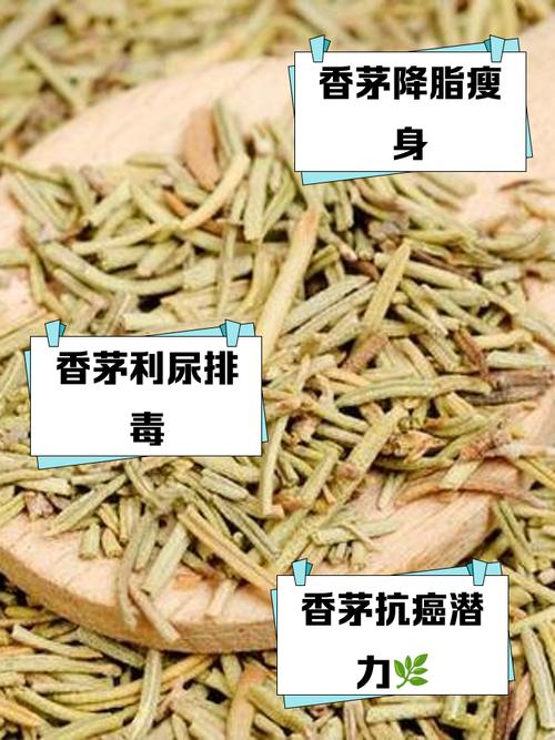 什么草有减肥功效与作用