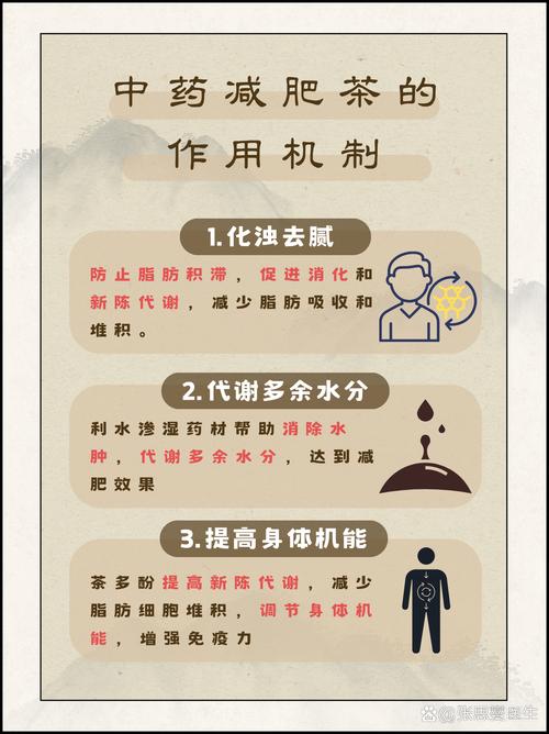 肥胖人的喝什么茶才能减肥