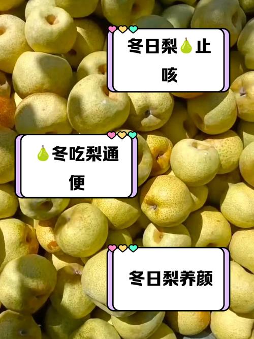 梨子什么时候吃好