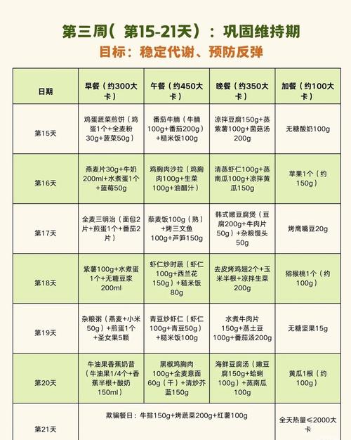 乙文减肥吃些什么