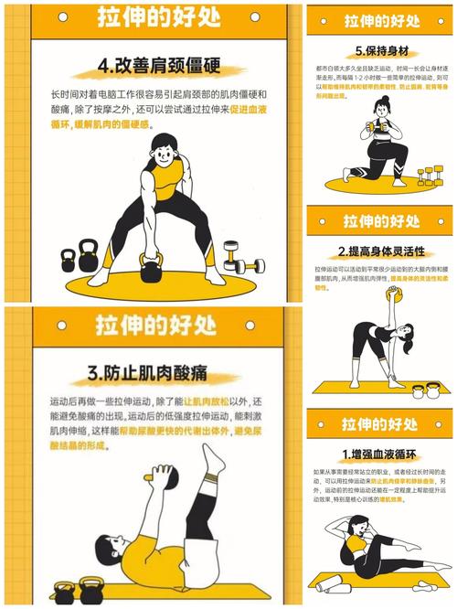经常拉伸有什么好处