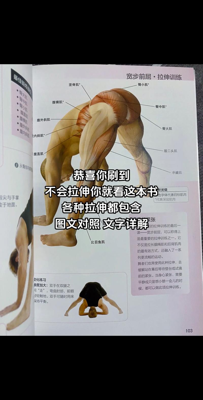 经常拉伸有什么好处