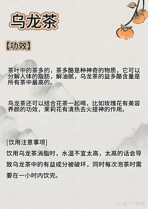 喜欢吃油腻的喝什么茶减肥