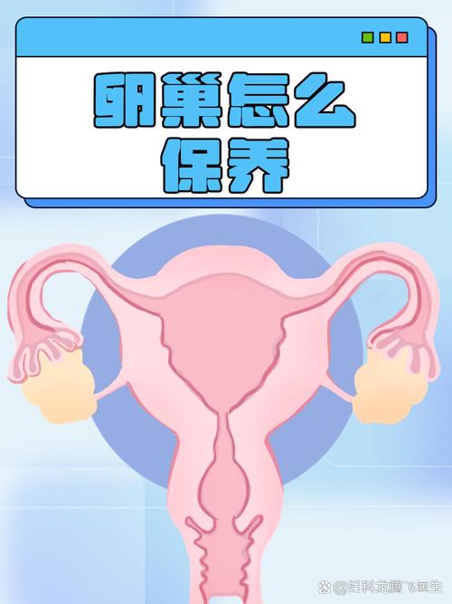 什么养卵巢