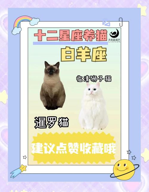 白羊座适合养什么狗