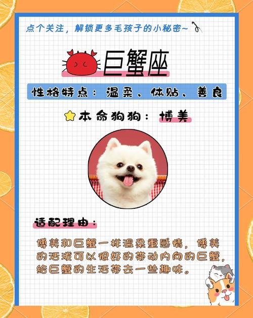 白羊座适合养什么狗