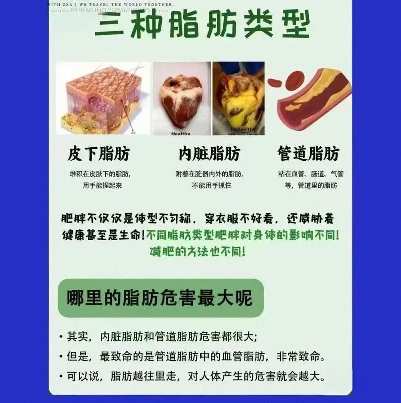 为什么吃的少还长胖