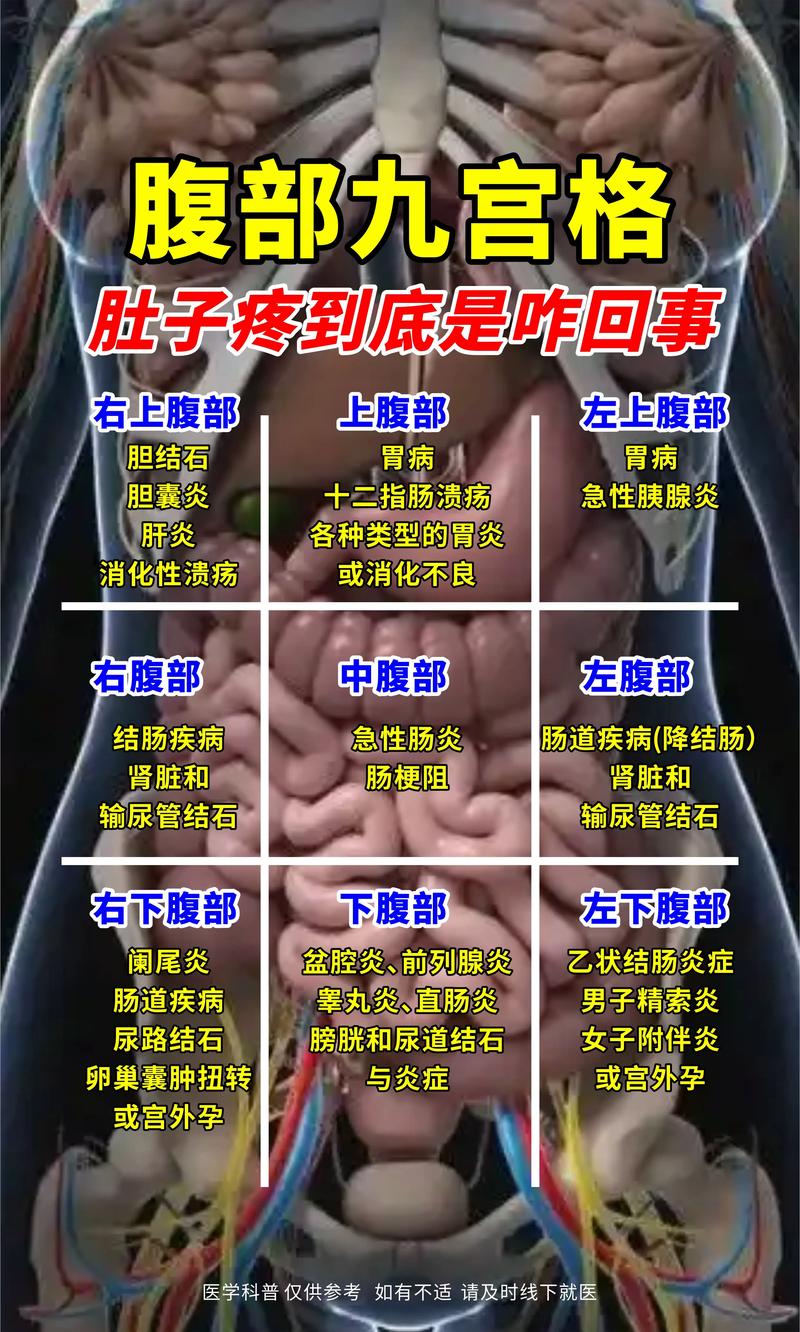 女性肚子胀是什么原因
