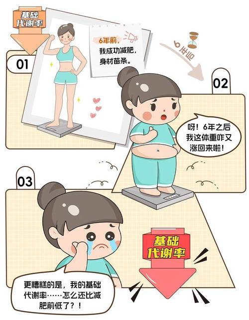 减肥为什么会反弹